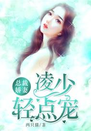 总裁娇妻，凌少轻点宠