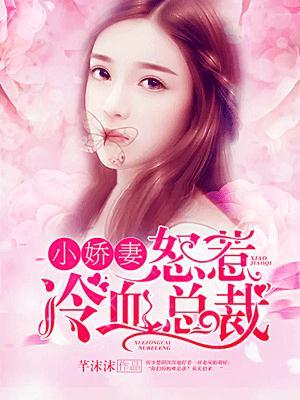 小娇妻：怒惹冷血总裁