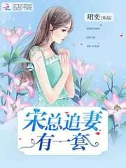 宋总追妻有一套