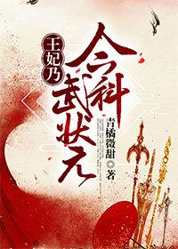 王妃乃今科武状元