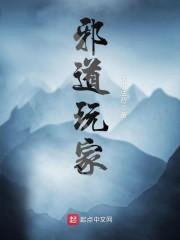 邪道玩家