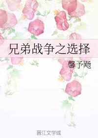 兄弟战争之选择