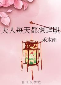 夫人每天都想辞职