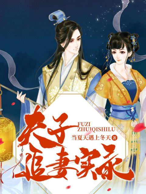 夫子追妻实录