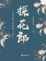 穿书后她成了探花郎