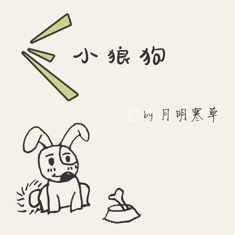 小狼狗