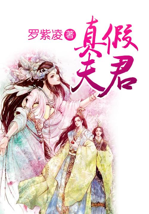 真假夫君