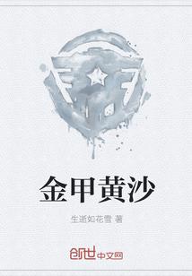 金甲黄沙