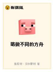 略微不同的方舟