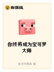 你终将成为宝可梦大师