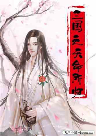 三国之天命所归