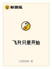 飞升只是开始