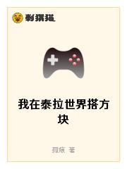 我在泰拉世界搭方块