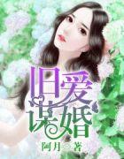 旧爱谋婚