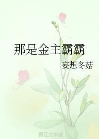 那是金主霸霸
