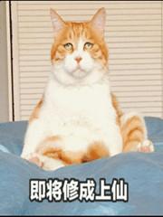 三年又三年，我真不能再当宗门大佬了