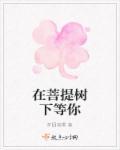 在菩提树下等你