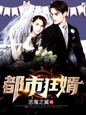 都市狂婿