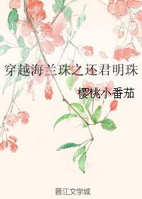 穿越海兰珠之还君明珠