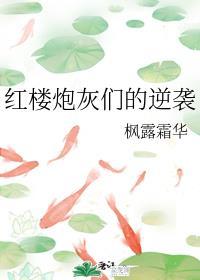 红楼炮灰们的逆袭