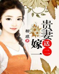 贵妻嫁一送二