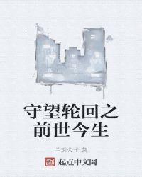 守望轮回之前世今生
