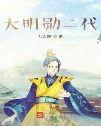 大明勋二代