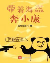 带着海盗奔小康