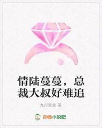 情陆蔓蔓，总裁大叔好难追