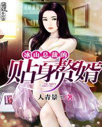 冰山总裁的贴身赘婿