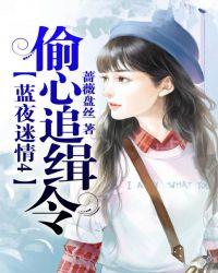 蓝夜迷情4：偷心追缉令