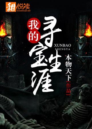 我的寻宝生涯