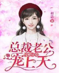闪婚厚爱：总裁老公宠上天