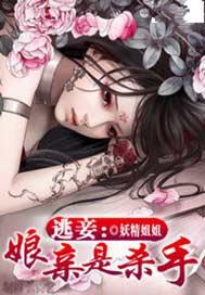 逃妾：娘亲是杀手