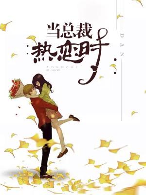 当总裁热恋时