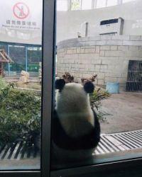 难耐