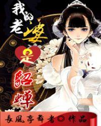 我的老婆是貂蝉