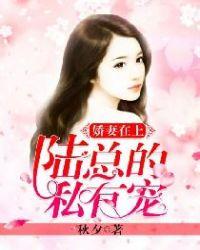 娇妻在上：陆总的私有宠