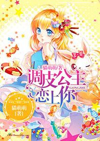 调皮公主恋上你