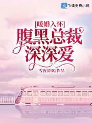 暖婚入怀：腹黑总裁深深爱